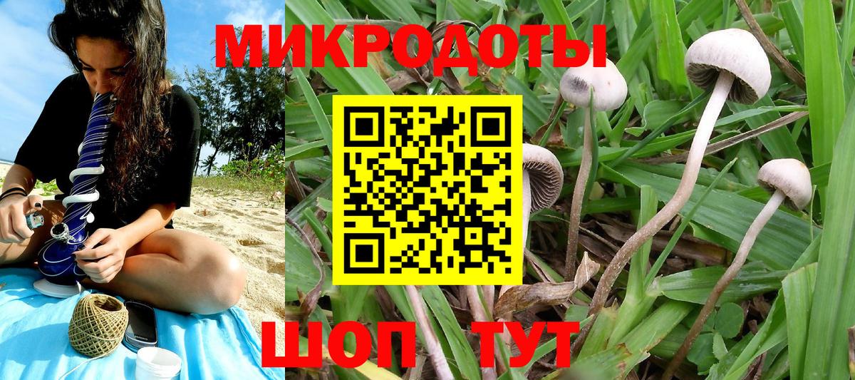 Галлюциногенные грибы Psilocybe  Вход с VPN  Сургут 