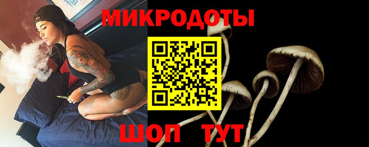 Галлюциногенные грибы MAGIC MUSHROOMS Сургут